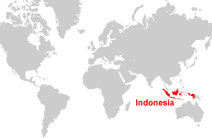 Indonesian Map